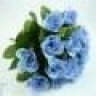 Blue_rose